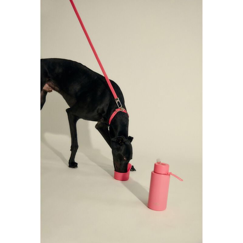 frank green Pet Leash (Base & Handle) image number 1